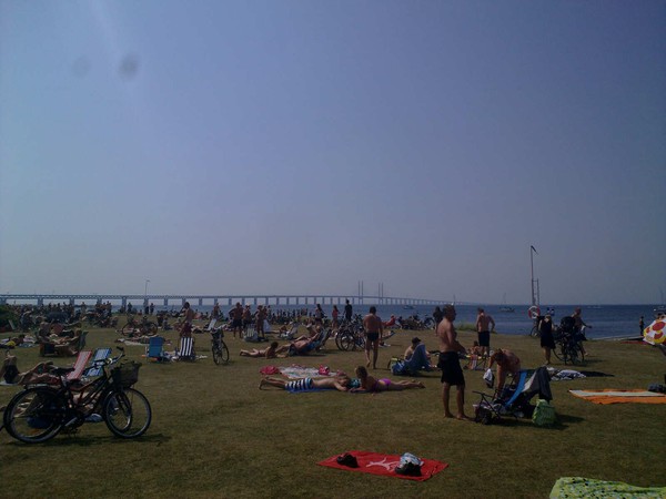 110720101260 (MMS)