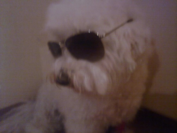 19042010737 (MMS)